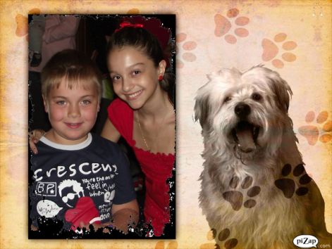 pizap.com13168900583432.jpg pizap.com13168900583432.jpg